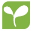 Logo-NEMO-Green